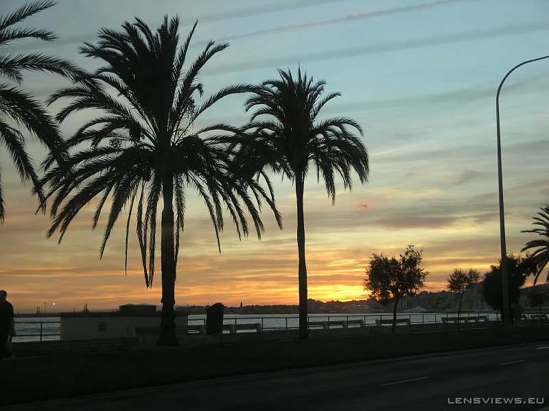 2006_11_22 17_42_56 OLYMPUS DIGITAL CAMERA         